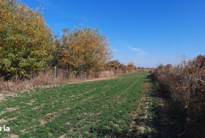 Casă cu 4 camere în Hăbud - 14