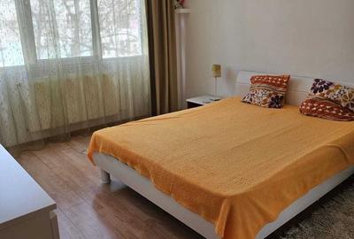 Apartament cu 2 camere semidecomandat, mobilat în Valea Ialomiței - 2