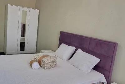 De inchiriat apartament cu 2 camere zona Buziasului - 4