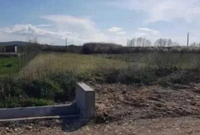 Teren de 784 mp, în Alparea