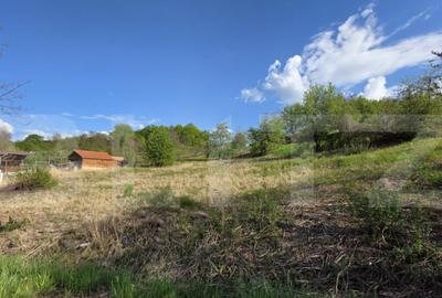 Teren Intravilan de vanzare, 900 mp, zona Valea Jelnei - 2