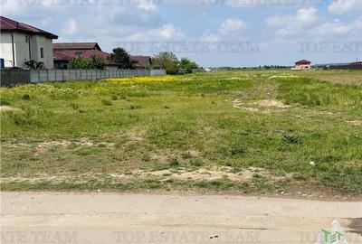 Teren intravilan 1.7 ha Dragomiresti Vale-Zurbaua, deschidere 34m la strada asfa - 4