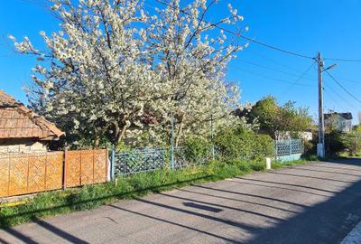 Casă cu 2 camere în Ceanu Mic - 3