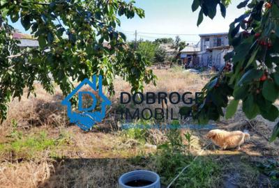 TEREN INTRAVILAN-ZONA PACII ,TEREN 1000 MP ,DESCHIDERE 15 ML - 3