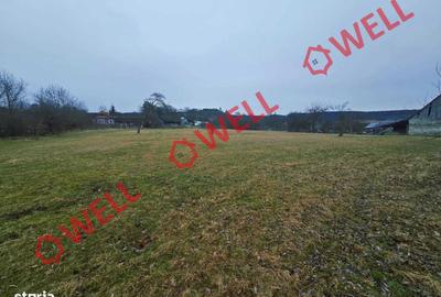 Teren de 5296 mp, în Hoghiz - 1