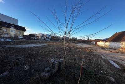 Teren Construcții intravilan de 5595 mp, în Turnișor - 2