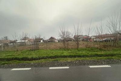 Teren intravilan 700 m? de vânzare în Dorobanți - 5