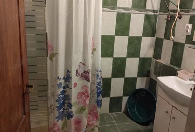 Casă cu 2 camere în Ronaț - 8