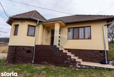 Casă cu 3 camere cu Teren 2497 Mp în Central - 1