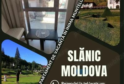 Apartament cu 2 camere decomandat în Central - 2