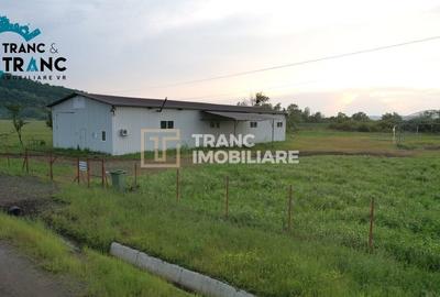 Spațiu industrial, de 317 mp, în Ususău - 8