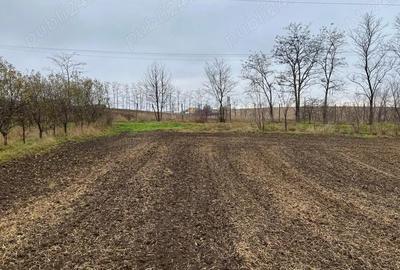 Teren de 23400 mp, în Central - 8
