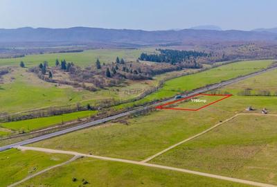 Teren 7786 mp/Cur?i construc?ii/Benzinarie Teren 7786 mp/Cur?i construc?ii/Benzinarie - 6