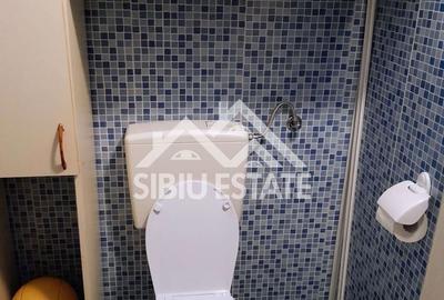 Casă cu 2 camere în Cisnădioara - 6