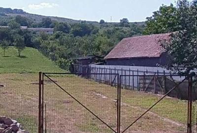 Spațiu comercial, în Băgaciu - 2