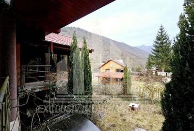 Casa de vacanta cu potential de Pensiune Turistica, Ramet - 15