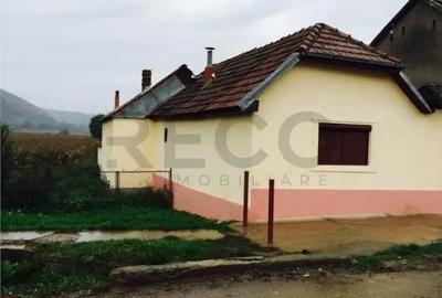 Casă cu 3 camere cu Teren 1900 Mp în Finiș - 8