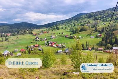 Teren de 3222 mp, în Galbena - 1