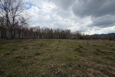 Teren de 15000 mp, în Izvoru - 8