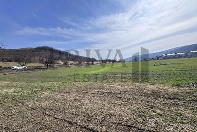 Teren de 160000 mp, în Săulești - 2
