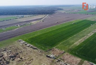 Teren agricol extravilan de 10000 mp, în Giroc - 3