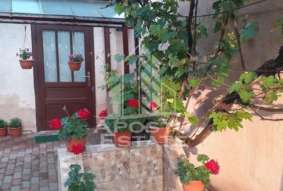 Casa individuala plus anexa, zona centrala in Faget - 4