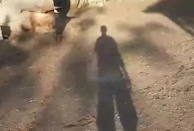 Casa batraneasca si teren de vanzare in Puricani - 6