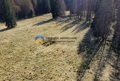 Teren de vanzare 5000 mp - Piatra Neamt - 3