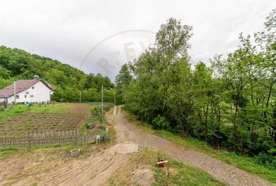 Casa Babana, Arges  - P+1+pod - cu panouri solare - 4