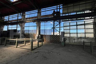 Hala industriala de inchiriat 1.000 mp + teren 5.000 - 20