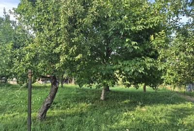 2000 mp, teren intravilan Pestera, Brasov, comision 0% - 2