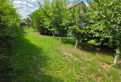 Casa Belciugatele - daca iti doresti o zona de relaxare pentru tine si familie - 5