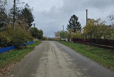 Teren de 18469 mp, în Butimanu - 6