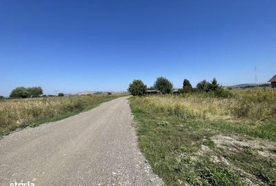 Spațiu comercial, în Veterani - 4