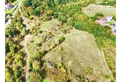 Teren agricol intravilan de 4230 mp, în Exterior Nord - 4