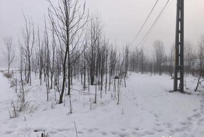 Casă cu 3 camere cu Teren 5000 Mp în Negostina - 1