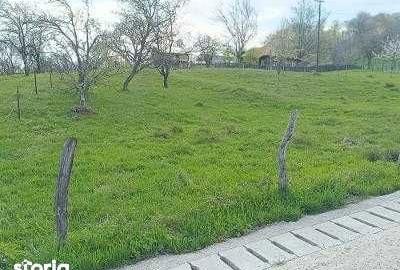 Teren de 2000 mp, în Sud - 2