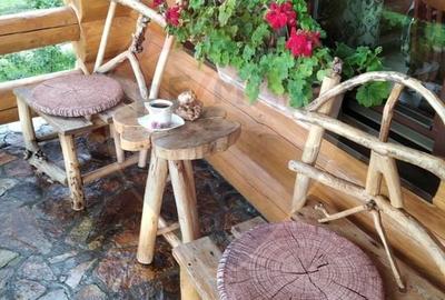 Hotel/Pensiune, de 240 mp, în Costești (Albac) - 28