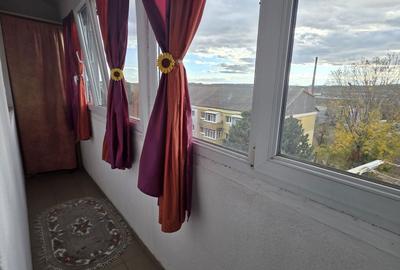 Apartament cu 2 camere semidecomandat în Paltin - 7