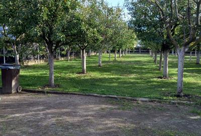 Vanzare casa + anexa + curte foarte spa?ioasa (2550 mp) - 1