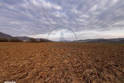 Spațiu comercial, în Șieu - 3