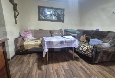 Casă cu 1 camere cu Teren 1306 Mp în Careiului - 17