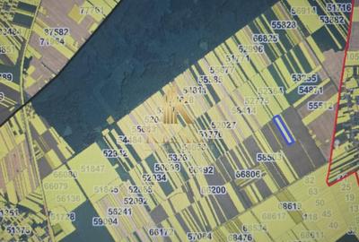 Teren agricol intravilan de 17000 mp, în Est - 2