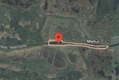 Intravilan Vulturu- Maliuc două terenuri alipite - 2