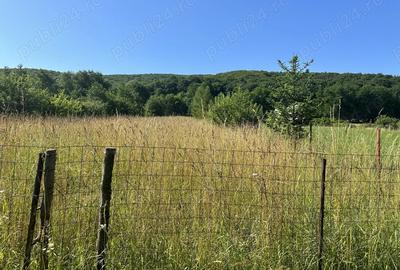 Casa de vacanta- Ozun, 30 km de Brasov - 4