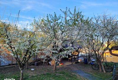 Casă cu 4 camere cu Teren 500 Mp în Central - 2