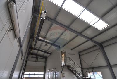 Spațiu industrial, de 248 mp, în Goranu - 5