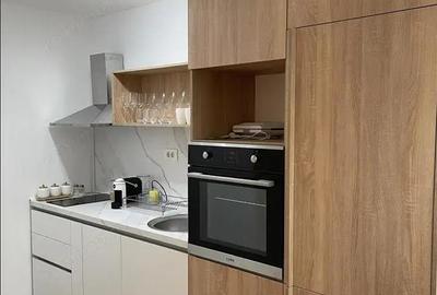 Garsoniera de inchiriat in zona Grozavesti - 3