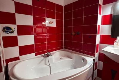 Apartament cu 2 camere decomandat, mobilat în Trocadero - 10
