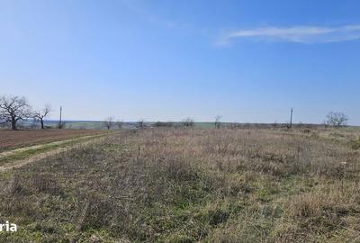 Teren de 6707 mp, în Cetariu - 7